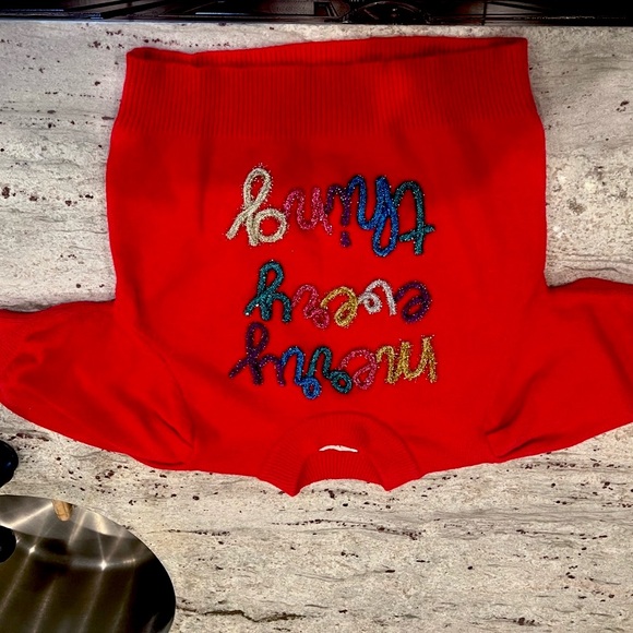 Holiday Sweater worn once - Picture 2 of 6